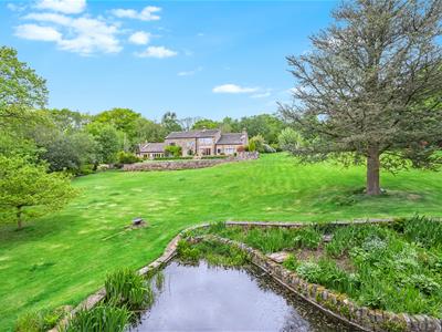 Picture 76
